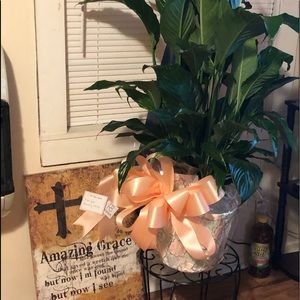 Meet your Posher, Janis